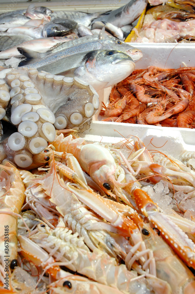 different kinds of freshly caught fish and shrimps at a fish market stall different kinds of freshly caught fish and shrimps at a fish market stall