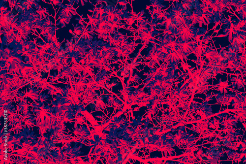 Abstract floral pattern of flowers on tree branches with colorful red and blue duotone effect