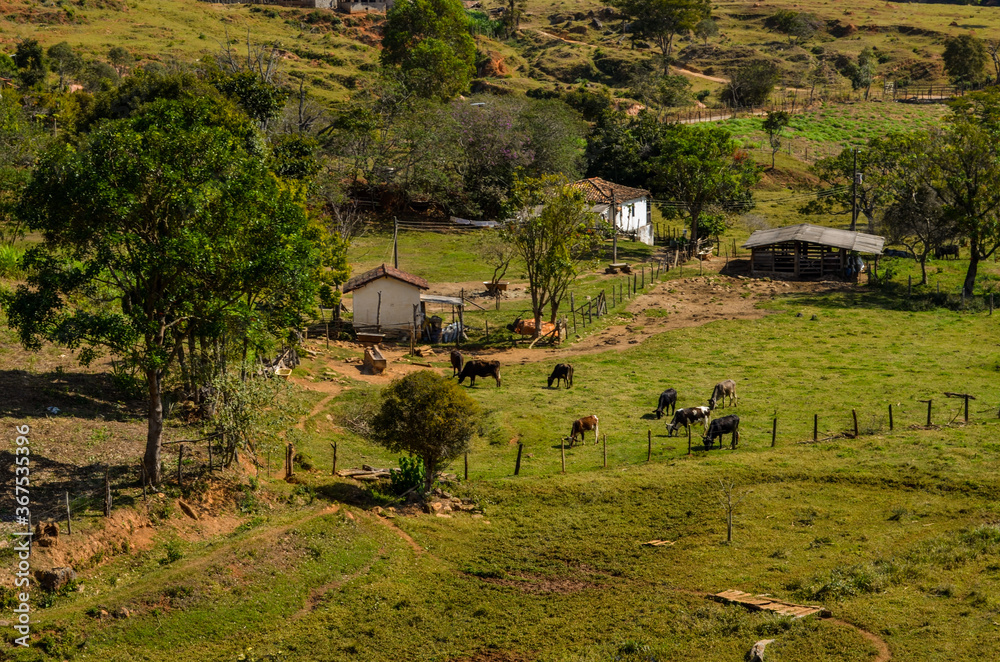 Small farm with animals at countryside region of Brazil. Small farm with animals at countryside region of Brazil.