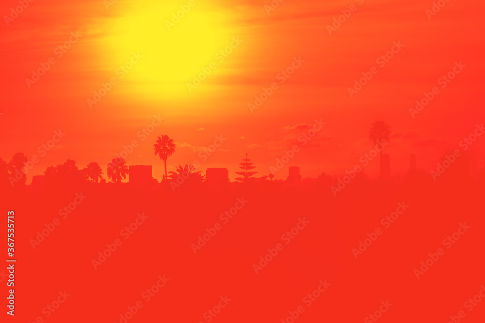 Sunset over Los Angeles skyline with buildings and palm trees in California