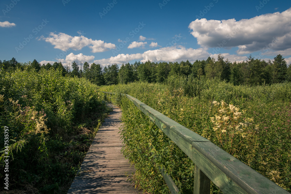 Calowanie Swamp - wooden footbridge on the peatbog in the Masovian Landscape Park, Karczew, Poland