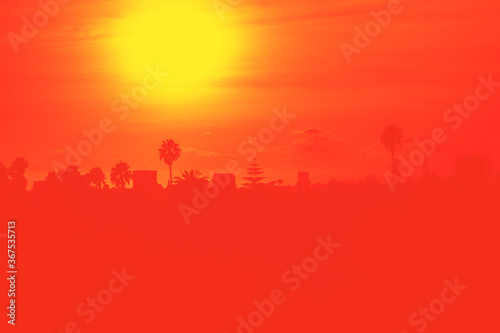 Sunset over Los Angeles skyline with buildings and palm trees in California