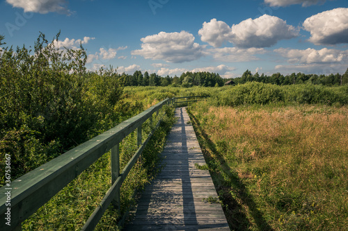 Calowanie Swamp - wooden footbridge on the peatbog in the Masovian Landscape Park, Karczew, Poland