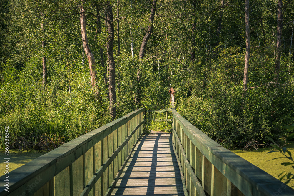 Calowanie Swamp - wooden footbridge on the peatbog in the Masovian Landscape Park, Karczew, Poland