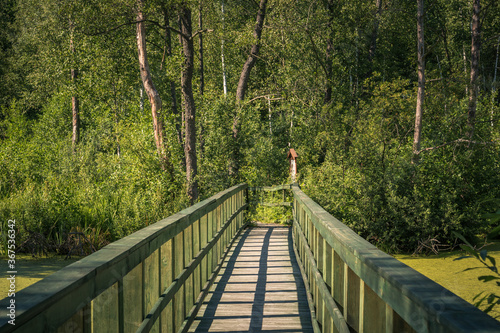Obraz na płótnie Calowanie Swamp - wooden footbridge on the peatbog in the Masovian Landscape Park, Karczew, Poland w salonie