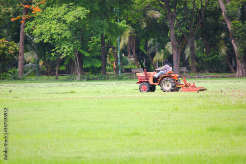 the worker or labor riding lawn mower working in lawn