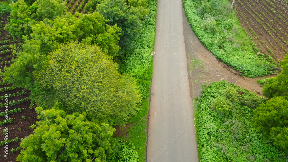 Green fields and road aerial view