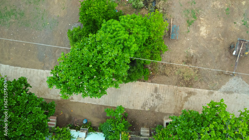 Green fields and road aerial view