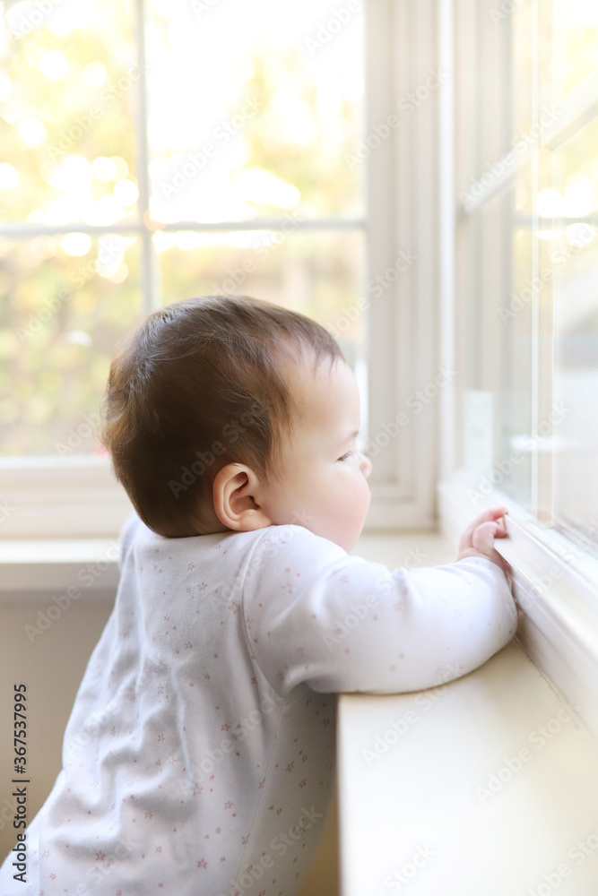 baby looking out window baby looking out window