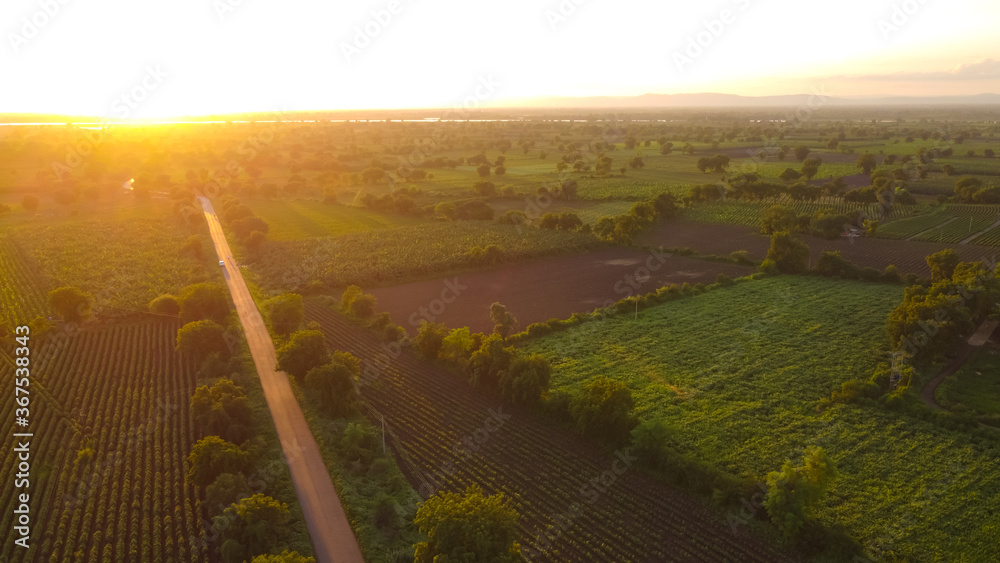 Aerial view of golden sunset in landscape