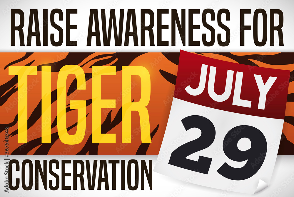 Striped Label and Calendar to Rise Awareness in Tiger Day, Vector Illustration Striped Label and Calendar to Rise Awareness in Tiger Day, Vector Illustration