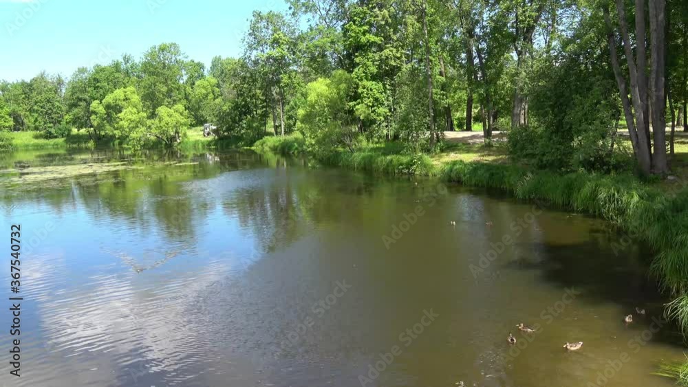 Beautiful landscape with pond in the Alexander Park. View of ducks swimming in the water. Beautiful landscape with pond in the Alexander Park. View of ducks swimming in the water.