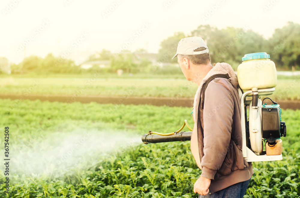 Fototapeta premium A farmer with a mist sprayer spray treats the potato plantation from pests and fungus infection. Agriculture and agribusiness. Harvest processing. Protection and care. Use chemicals in agriculture.