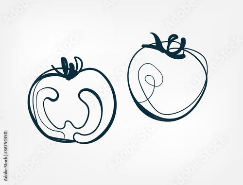 tomato vegetable vector one line art isolated illustration