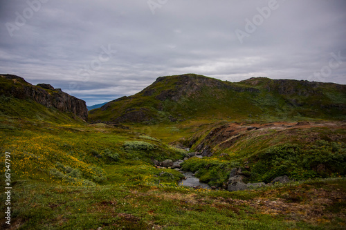 Summer landscape in the fiords of Narsaq, South West Greenland