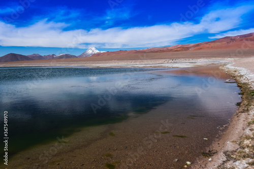 Atacama Desert - CHile