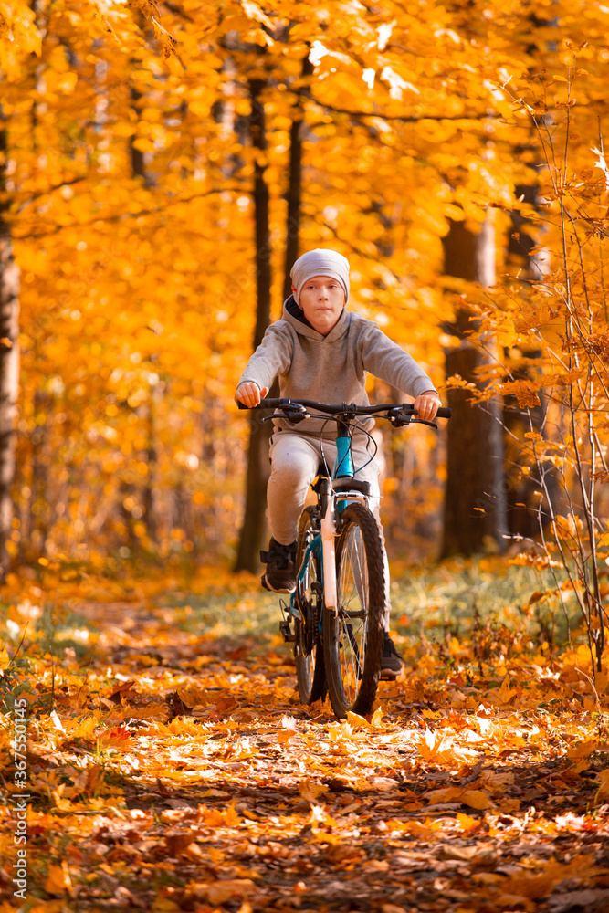 Boy riding bicycle in autumn park