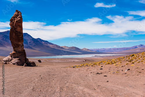 Atacama Desert - CHile