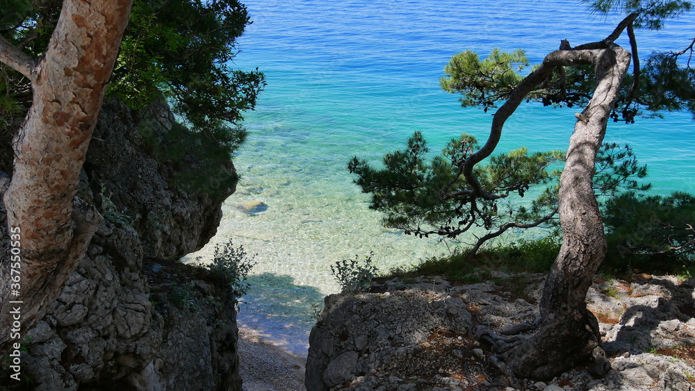Badebucht in Brela an der Makarska-Riviera, Dalmatien, Kroatien mit Kiefern im Vordergrund Badebucht in Brela an der Makarska-Riviera, Dalmatien, Kroatien mit Kiefern im Vordergrund