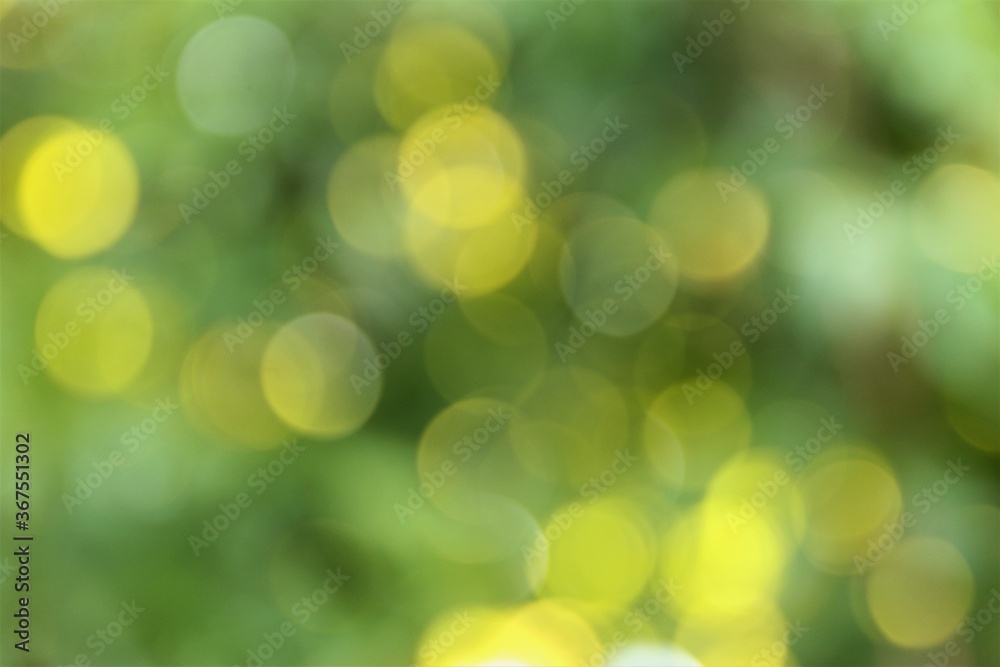 abstract nature green and yellow bokeh background. photo abstract nature green and yellow bokeh background. photo
