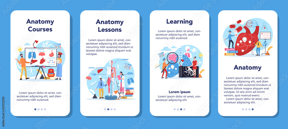 Anatomy school subject mobile application banner set. Internal