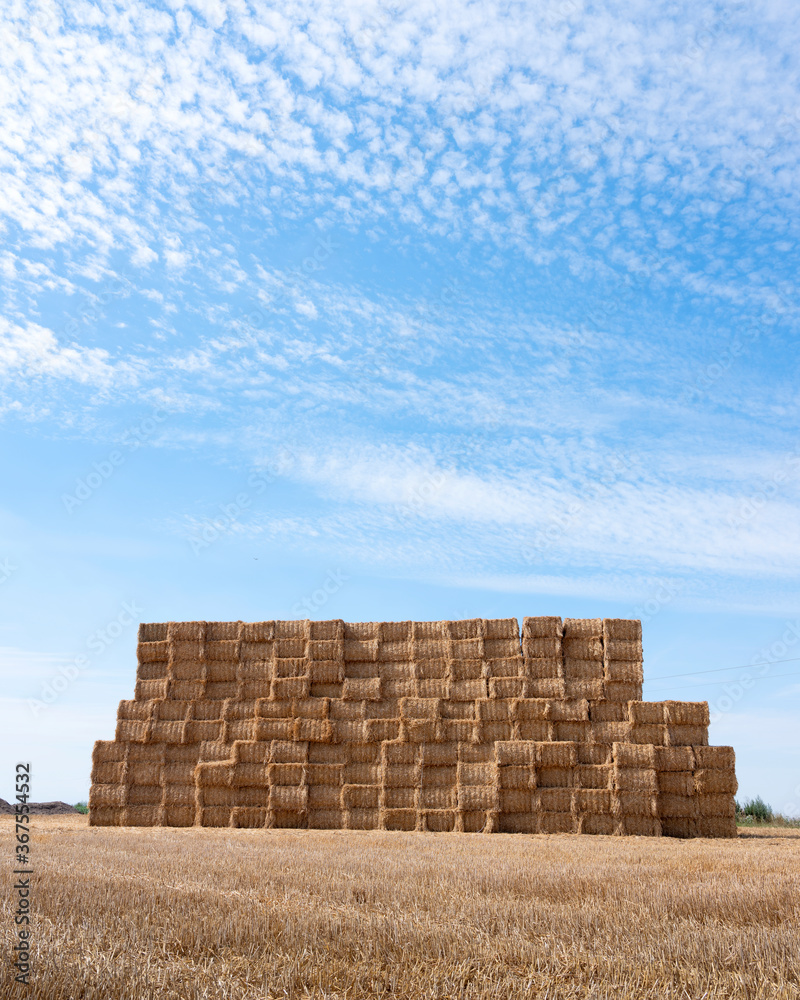 large piles of stacked straw bales in the noerth of france