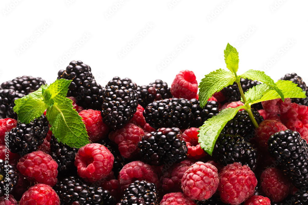 Raspberry, blackberry and mint leaf Raspberry, blackberry and mint leaf