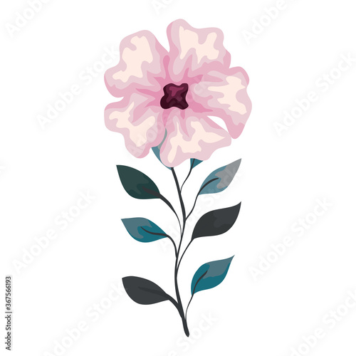 flower pink color with branch and leaves, on white background vector illustration design
