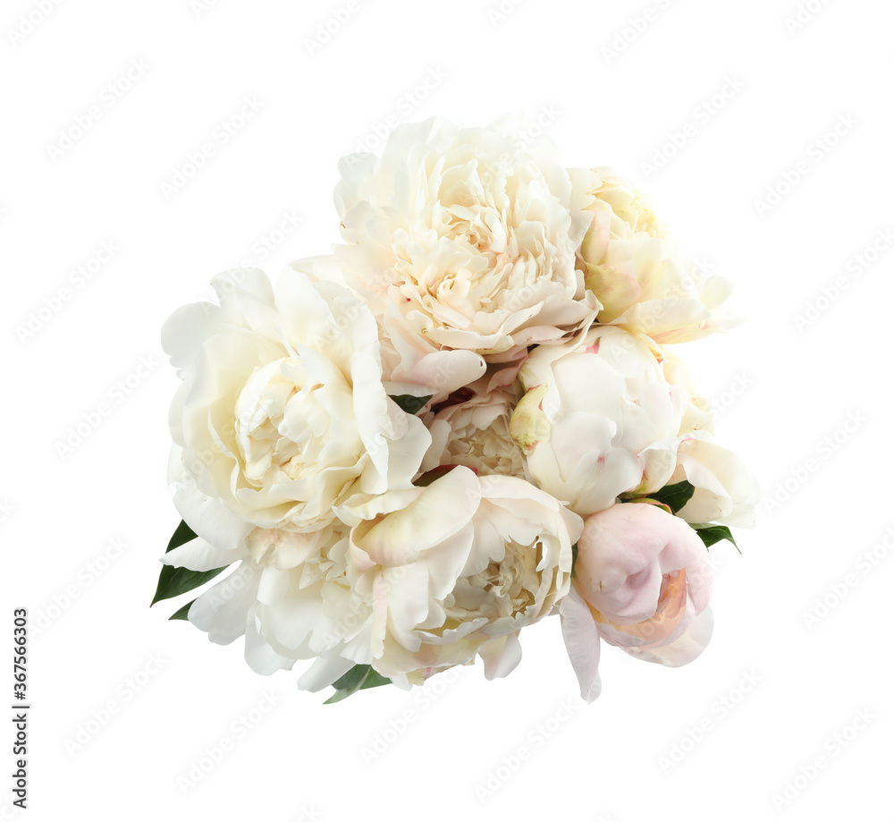 Bouquet of beautiful peonies on white background