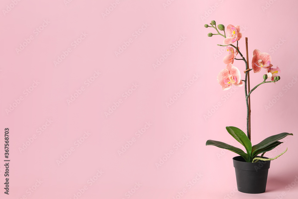 Beautiful artificial plant in flower pot on pink background, space for text