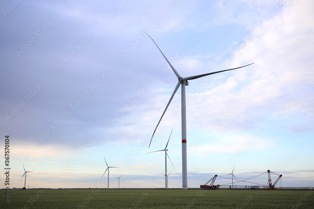 Beautiful view of field with wind turbines in evening. Alternative energy source Beautiful view of field with wind turbines in evening. Alternative energy source