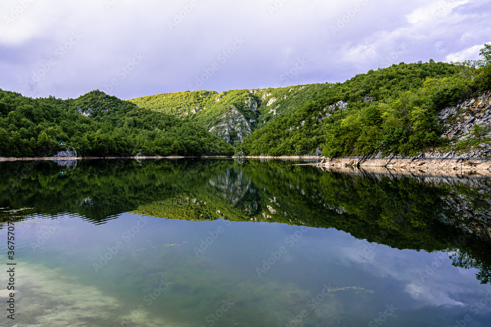 Fototapeta premium Trees on mountain by the water