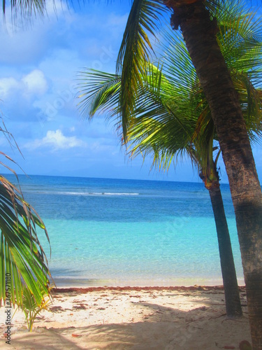 Fototapeta Naklejka Na Ścianę i Meble -  des palmiers sur une plage de sable blanc devant la paradisiaque mer turquoise