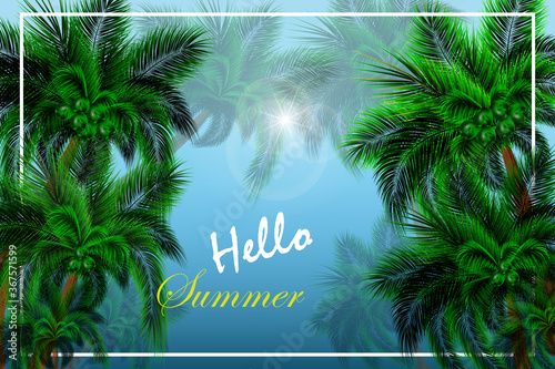 Fropical palm trees, leaves frame botanical vector illustration. Exotic nature card or banner with frame for text isolated on abstract background. Jungle green leaf floral pattern. Tropical palm