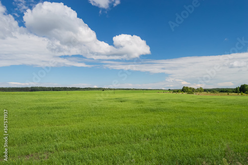 Cleared scene of blue sky and green grass field only nature