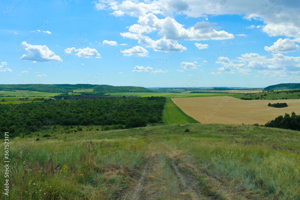View from the hill to the apple orchard and the wheat field