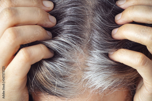 A woman showing her gray hair roots photo