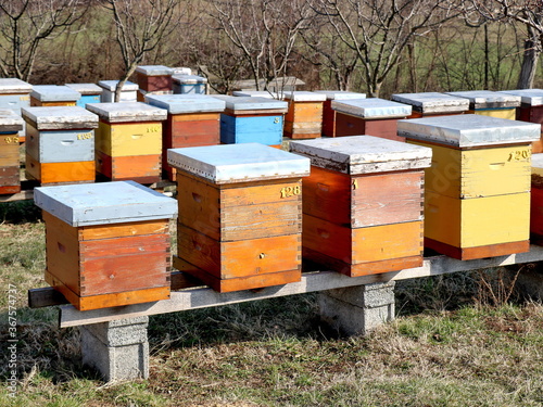 Hives in an apiary. Apiculture
