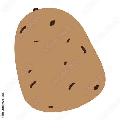 Isolated potato icon. Vegetable icon. Healthy food - Vector