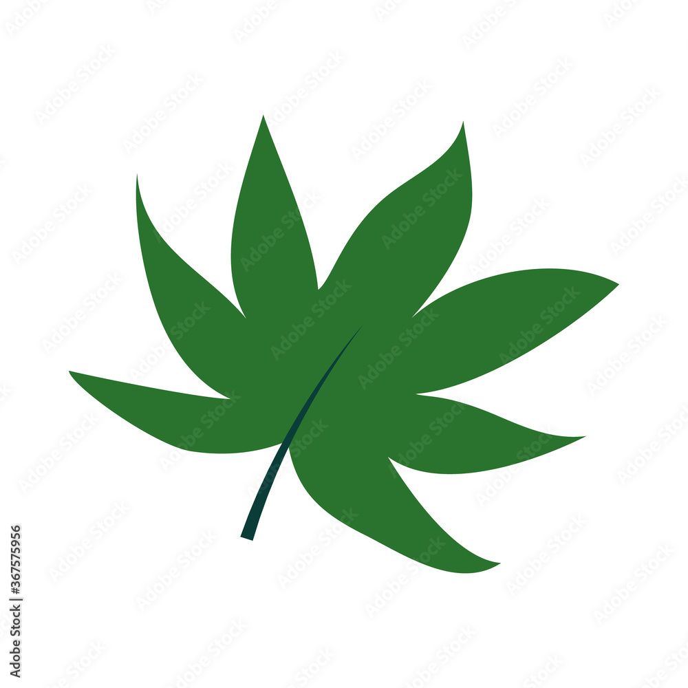 tropical leaf flat style icon vector design tropical leaf flat style icon vector design