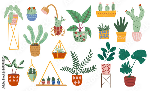 Hand drawn Set of macrame hangers for house plants growing in pots. Scandinavian style illustration, modern and elegant home decor. Vector isolated design elements