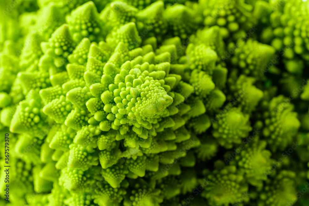 Inflorescences of Romanesco broccoli close-up Inflorescences of Romanesco broccoli close-up