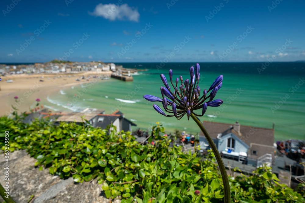 Obraz premium St Ives, Cornwall, UK