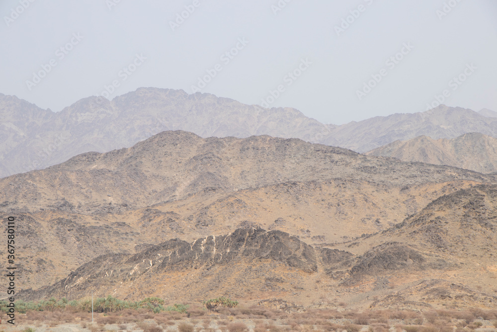 Naklejka premium Shrub lands