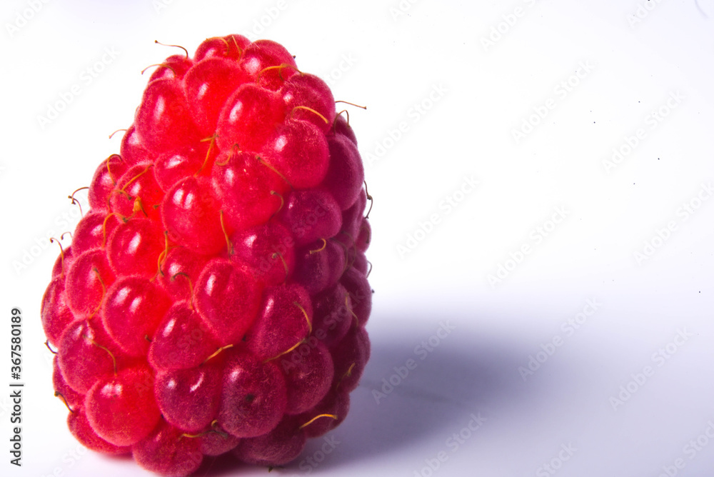 raspberry on white raspberry on white