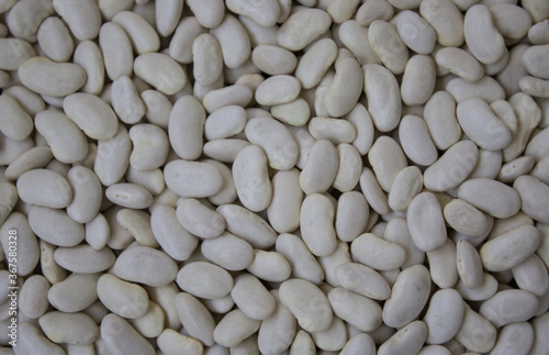 Texture of fresh white beans