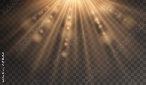 Golden glowing sunbeams. Transparent light effects. Isolated  sunshine rays and lens flare