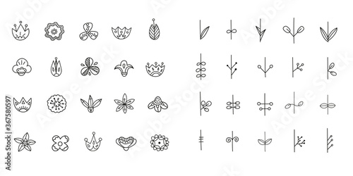 A big set of hand-drawn black floral graphic elements.Scandinavian flowers and botanical elements in doodle style. Vector illustration.