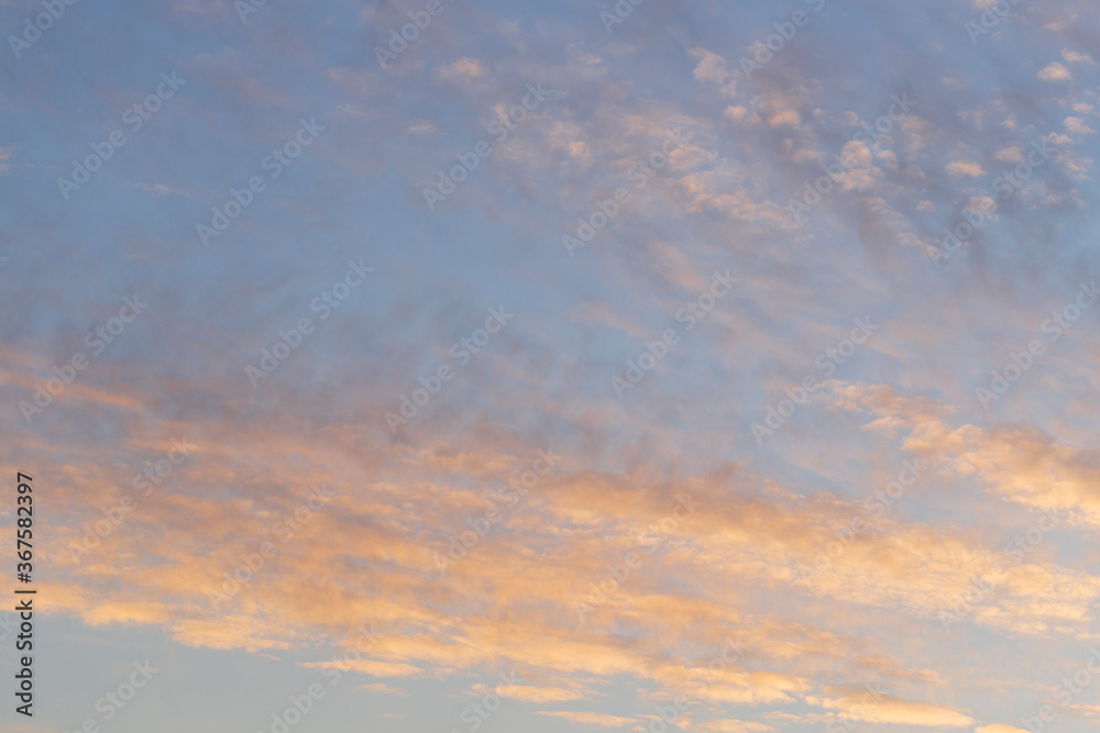 Purple-magenta clouds. Cirrus cloudscape on blue sky.Tragic gloomy sky. Landscape with bloody sunset. Fantastic skies on the planet earth. Purple-magenta clouds. Cirrus cloudscape on blue sky.Tragic gloomy sky. Landscape with bloody sunset. Fantastic skies on the planet earth.