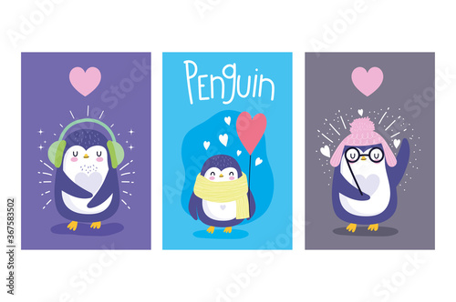 penguins with hearts hats and balloon antarctic bird animal cartoon wildlife